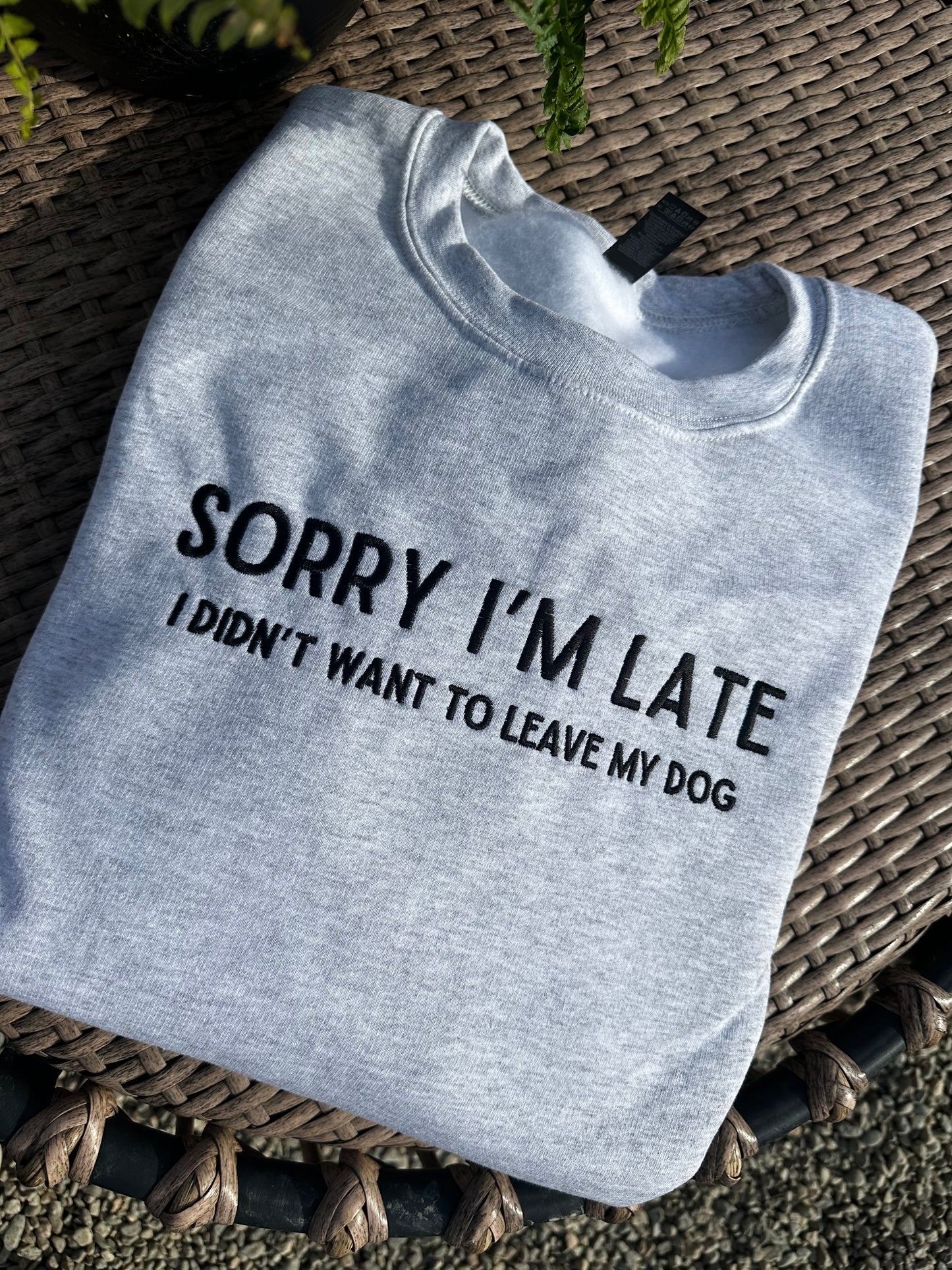 Didn’t Want To Leave My Dog Embroidered Sweatshirt