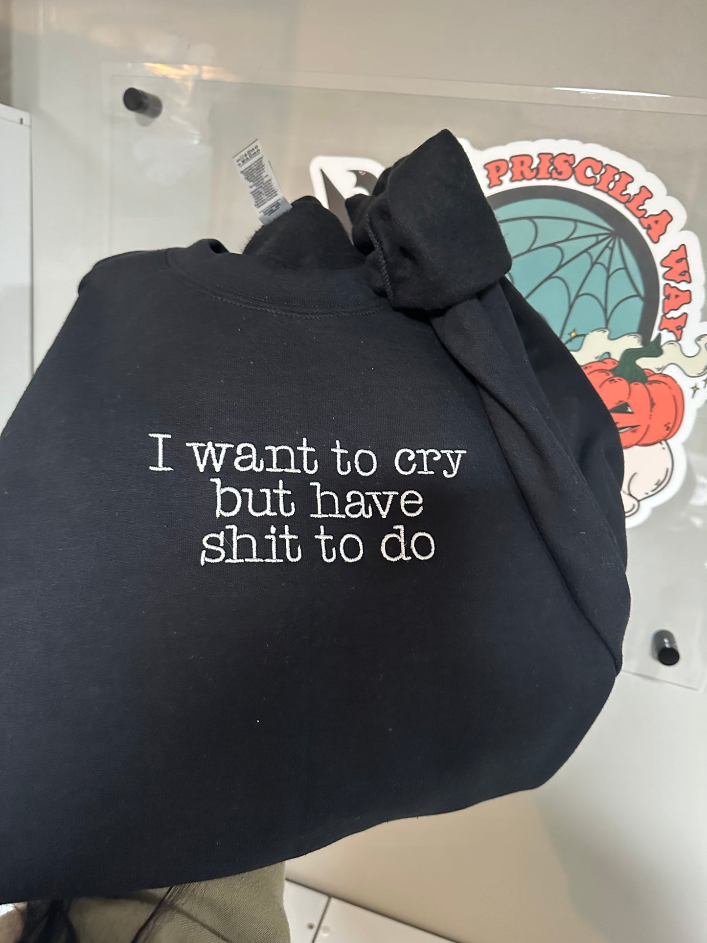Want To Cry Embroidered Sweatshirt