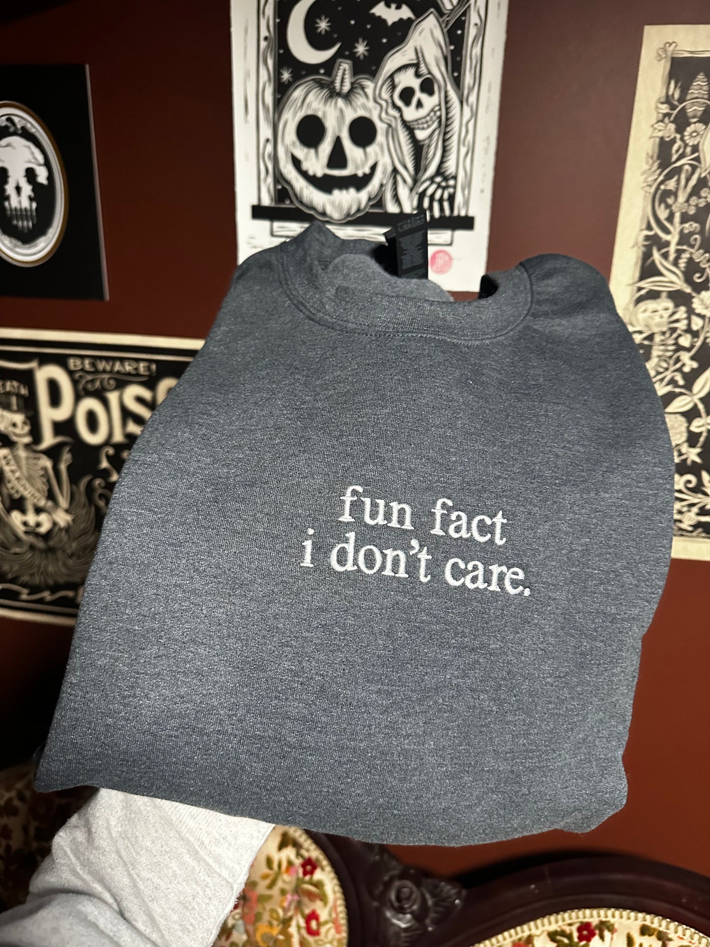 fun fact I don’t care Embroidered Sweatshirt