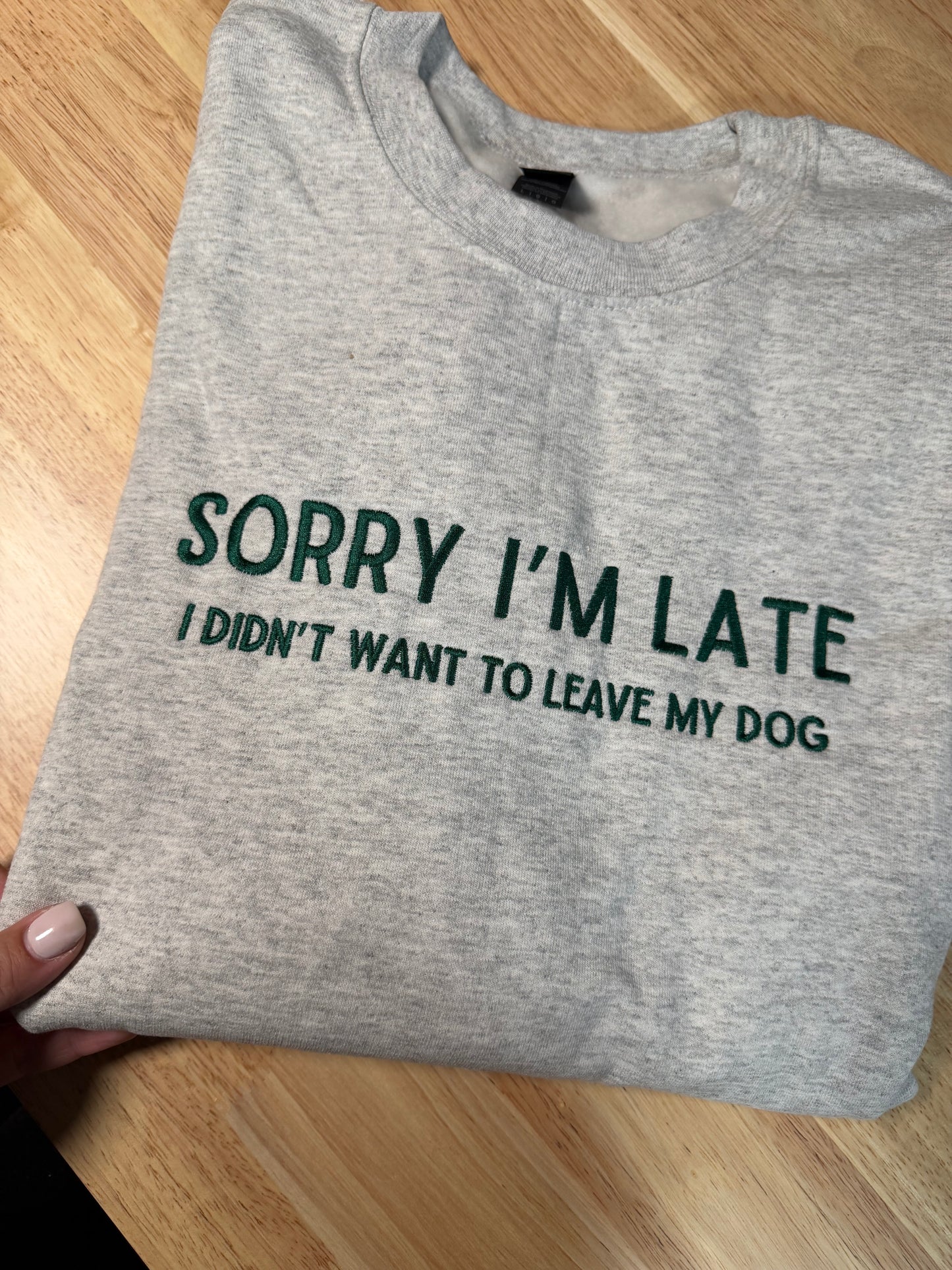 LARGE sweatshirt
